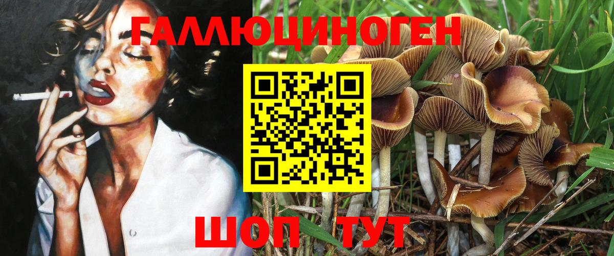 Костомукша  Галлюциногенные грибы мухоморы  Вход с VPN 